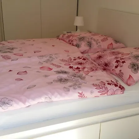 Appartamento Ferienwohnung-rosenblute